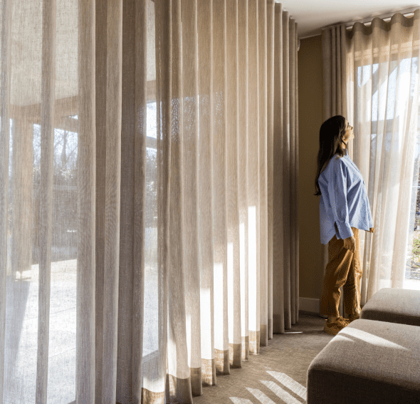 Forest from Netherlands